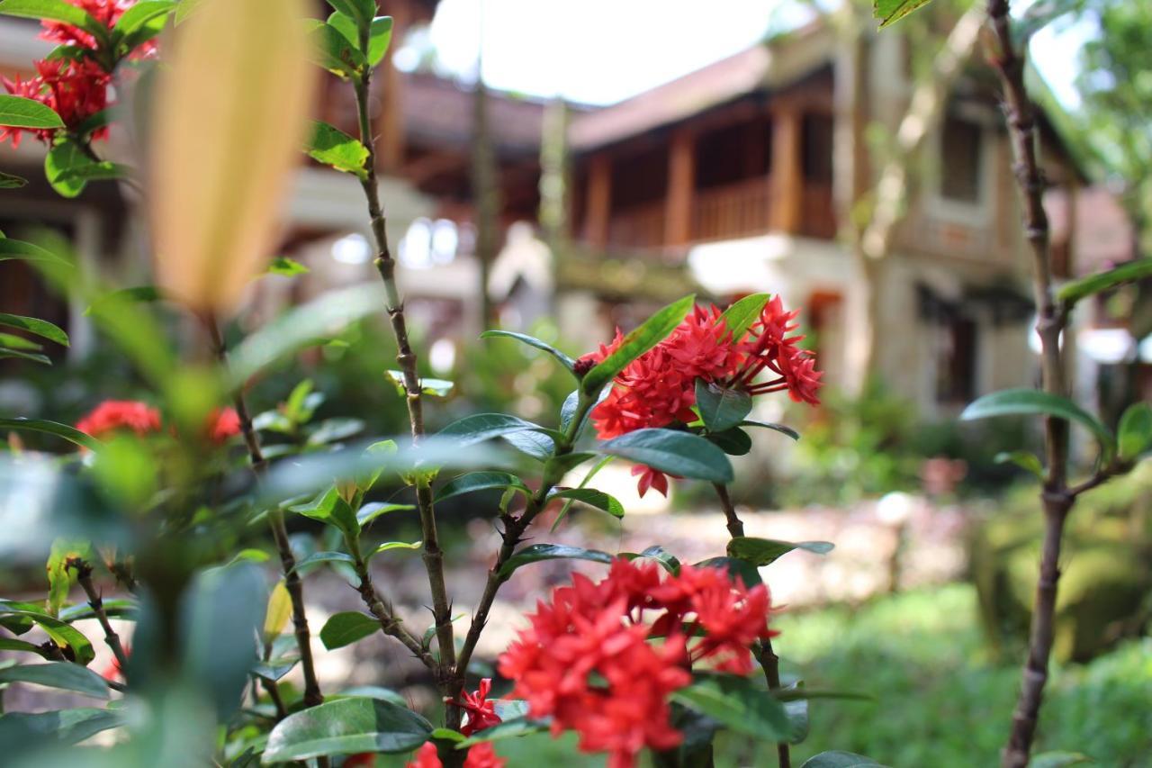Ancient Village Phu Quoc Resort מראה חיצוני תמונה