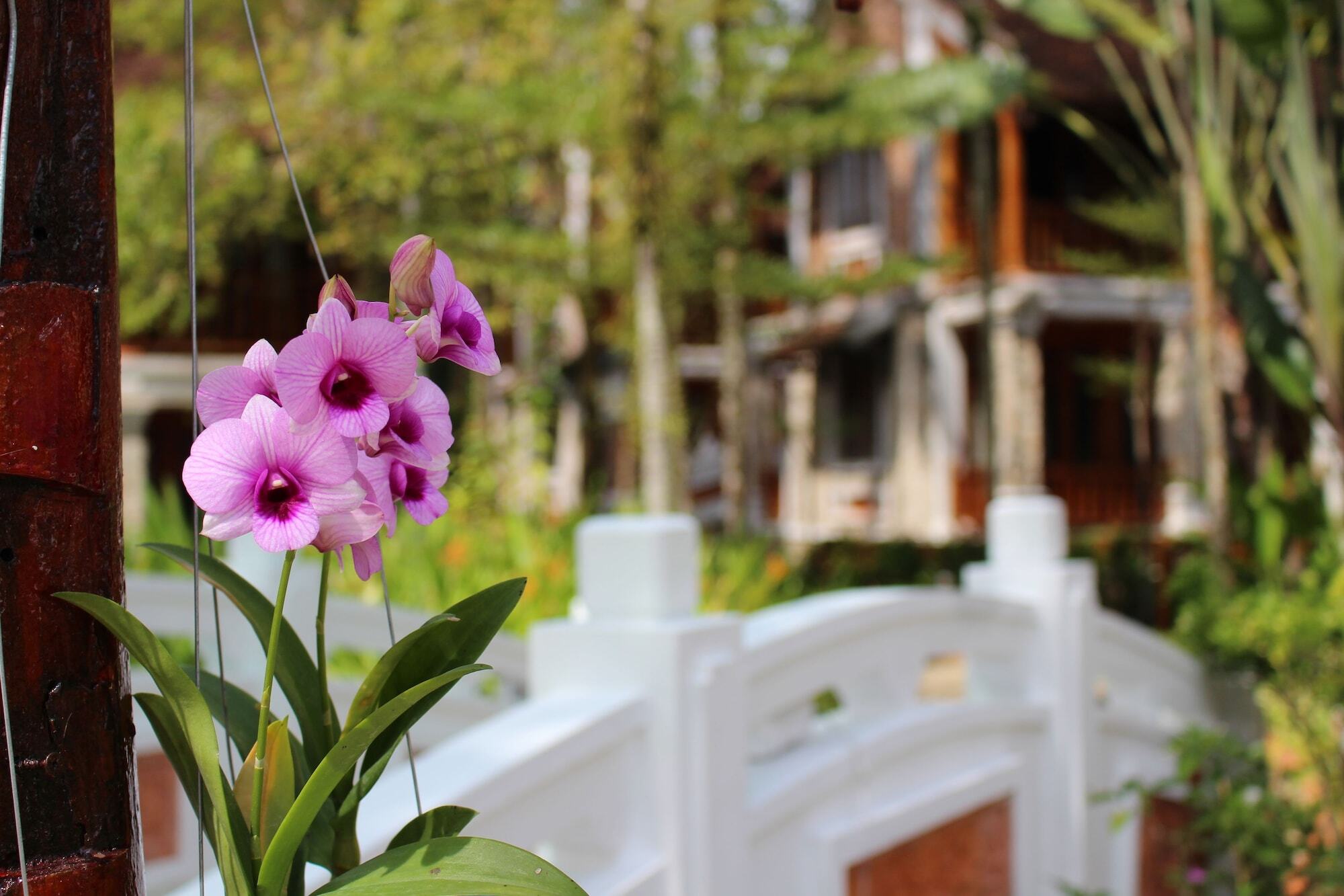 Ancient Village Phu Quoc Resort מראה חיצוני תמונה